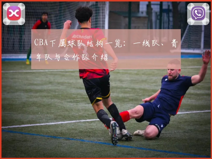 CBA下属球队结构一览：一线队、青年队与合作队介绍
