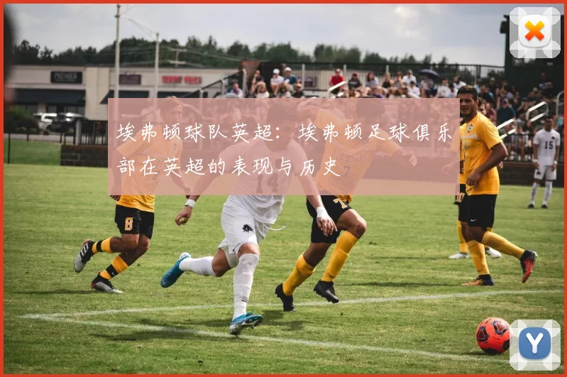 埃弗顿球队英超：埃弗顿足球俱乐部在英超的表现与历史